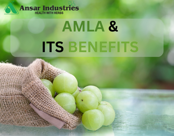 What-Are-The-Benefits-Of-Amla | Amla-Powder-Manufacturers-In-India | Ansar-Industries