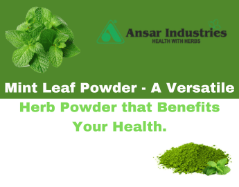 Mint Powder Supplier In India | Ansar Industries